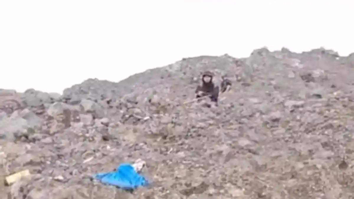 VIRAL Video Diduga Pendaki Ilegal Temukan Barang Korban Erupsi di Puncak Marapi, BKSDA: Video Lama