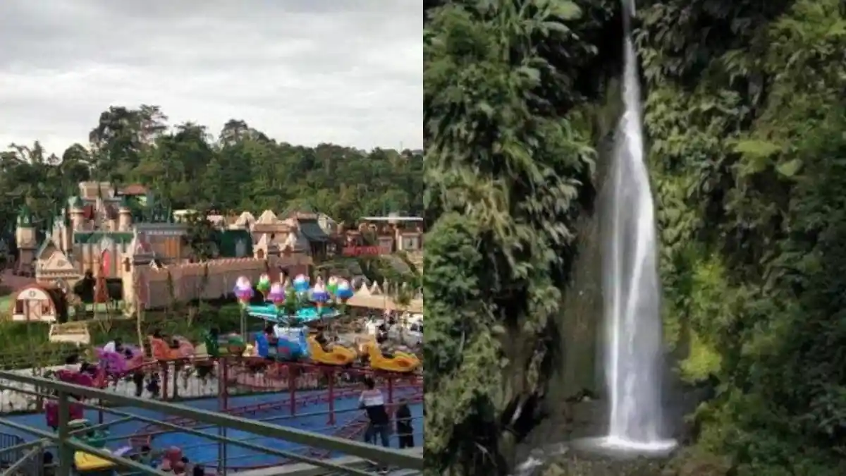 Libur Sekolah, 5 Tempat Wisata di Puncak Bogor Ini Cocok Buat Ajak Keluarga, Harga Tiket Masuk Murah
