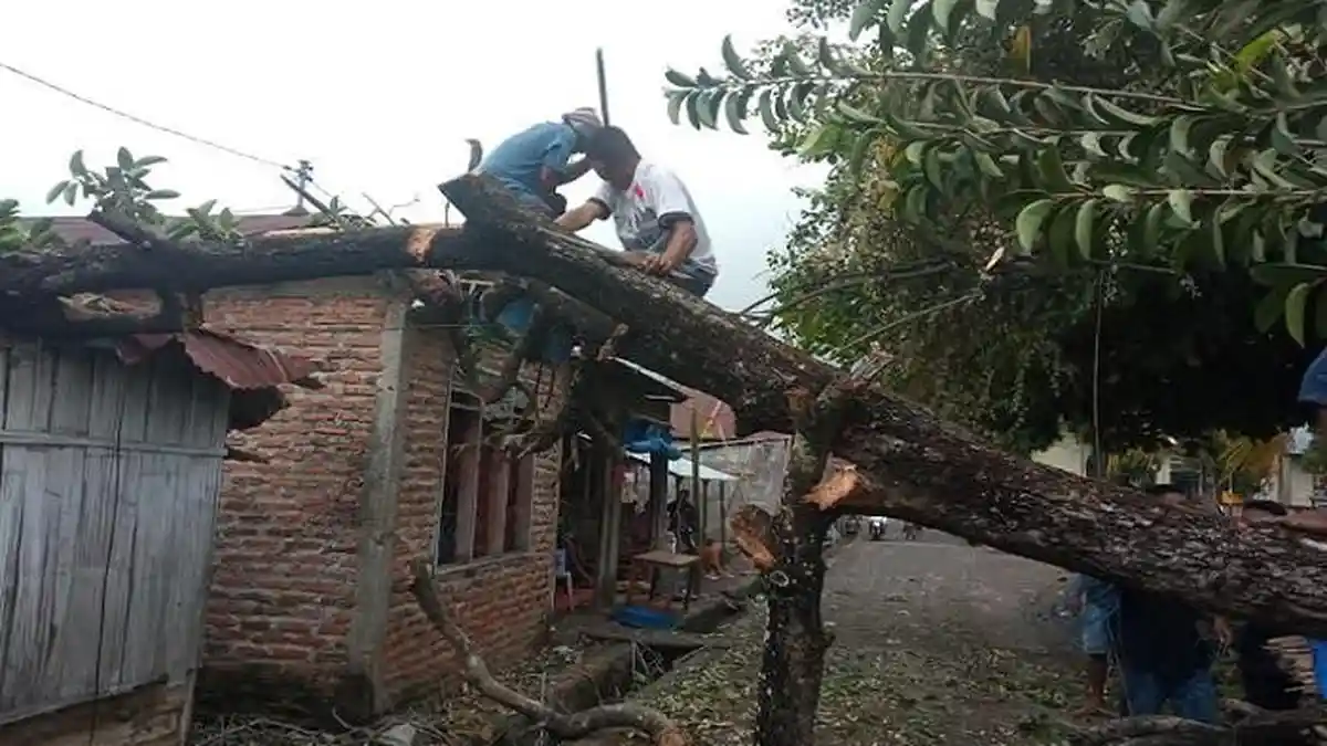 Dihantam Angin Kencang, Tiga Rumah Warga di Nangahale Sikka Rusak
