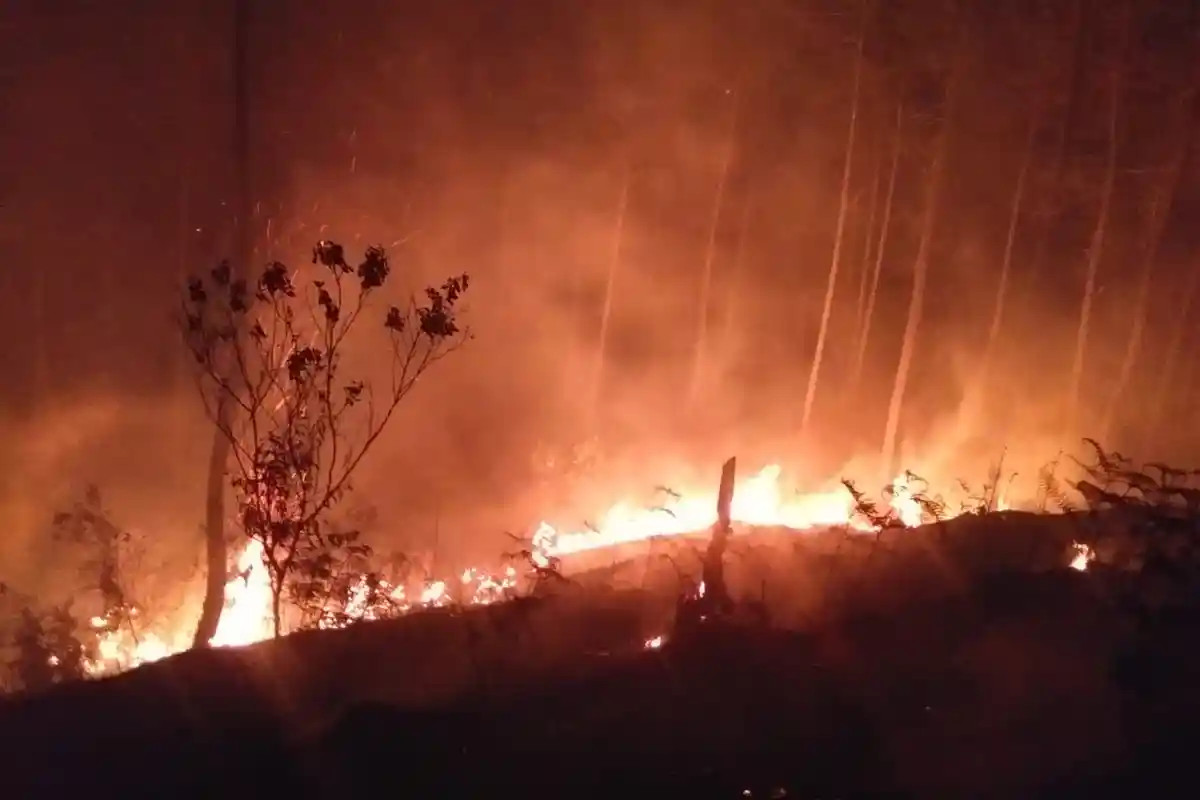 Polres Ungkap Titik Karhutlah di Mamasa Sejak 2 Bulan, Berikut Jumlahnya