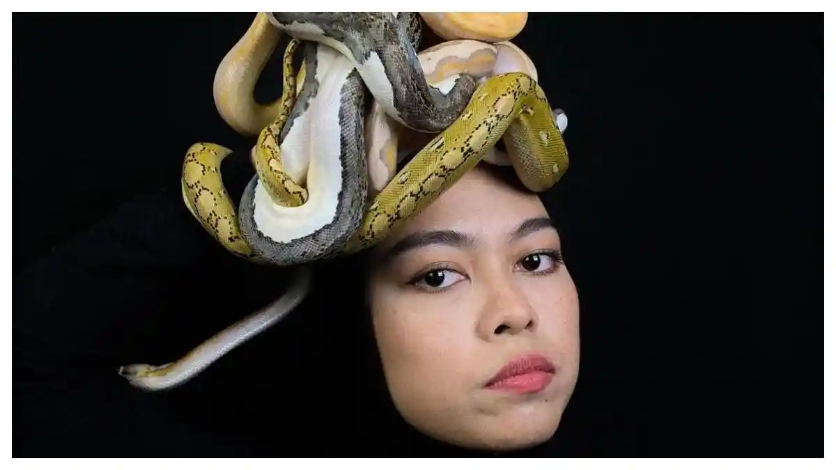 Pasangan Influenser di Dakwa Karena Memelihara 7 Hewan yang Dilindungi Tanpa Izin