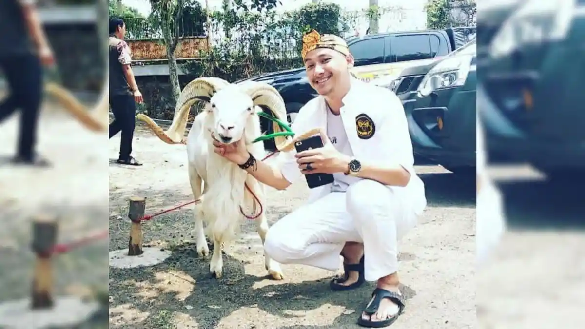Asyik ! Sambut Hari Pahlawan, HPDKI Bogor Bakal Gelar Festival dan Seni ...