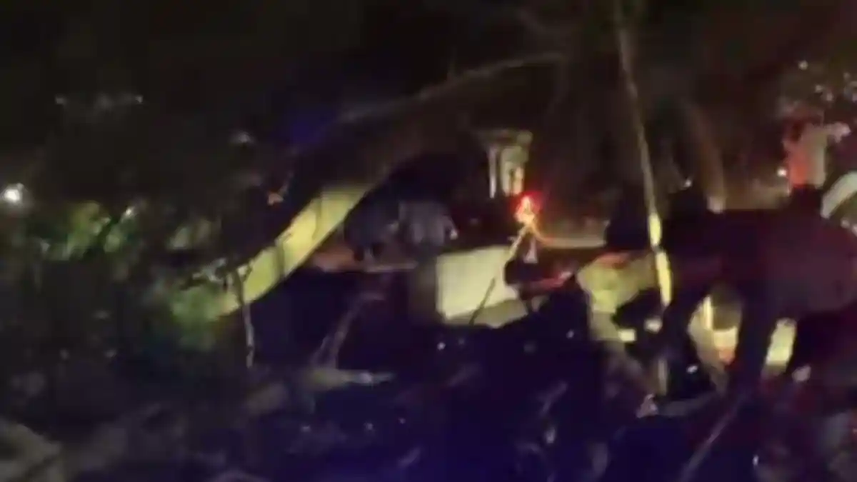 BREAKING NEWS! 5 Orang Pengendara Motor Tertimpa Pohon di Depan Unpad Jatinangor