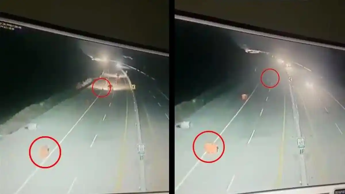 Viral Video Pembatas Jalan di Tol Pandaan-Malang Bergerak Sendiri, Apa Penyebabnya?