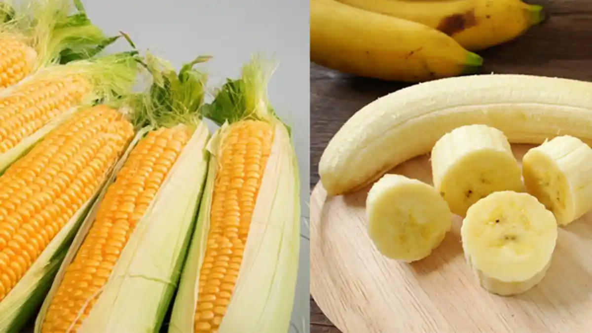 6 Makanan dan Minuman yang Ampuh Hilangkan Sakit Kepala, Wajib Coba Nih