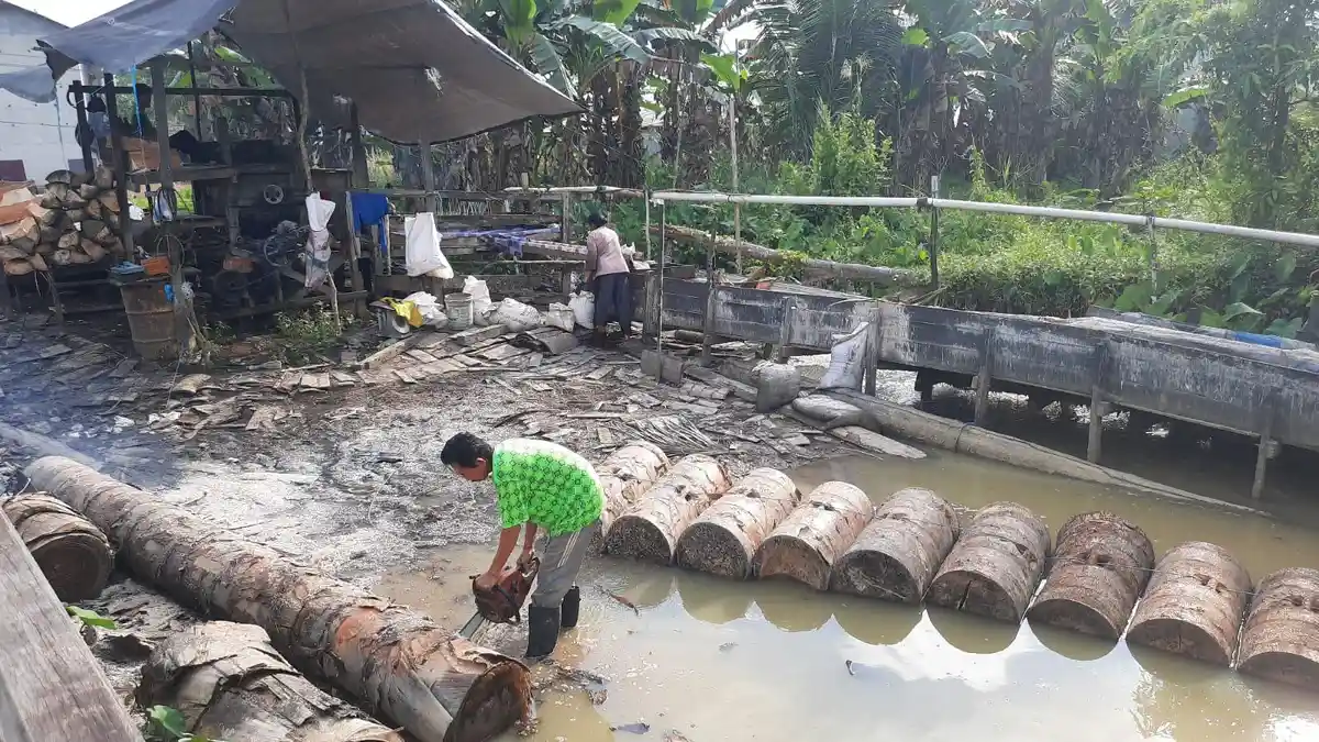 Pengrajin Sagu di Paser Belengkong Paser Bisa Hasilkan Rp 15 Juta per Bulannya