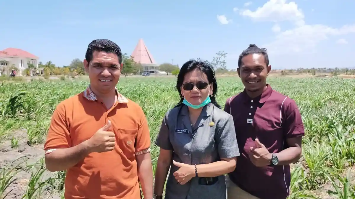 Robert Siap Wujudkan Mimpi Pemprov NTT