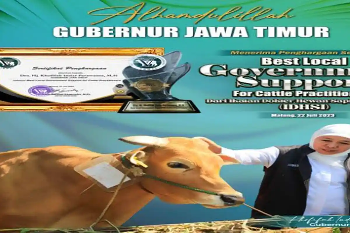 Gubernur Jatim Khofifah Raih Best Local Government Support For Cattle Practitioners dari IDHSI