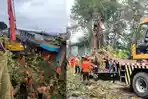 EVAKUASI-POHON-TUMBANG-petugas-dan-relawan-mengevakuasi-pohon-besar-yang-tumbang-e4565w.jpg