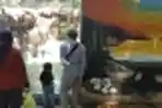 Libur Panjang Kebun Binatang Surabaya Rame Pengunjung