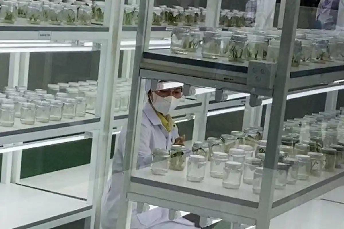 Pusat Penelitian Sido Muncul Diresmikan, Diharap Jadi Titik Balik Dominasi Rempah Indonesia di Dunia