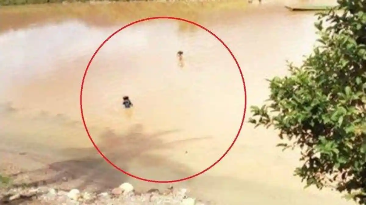 Demi ke Sekolah, Siswa SD Rela Berenang Seberangi Sungai di Jambi Gegara tak Ada Jembatan