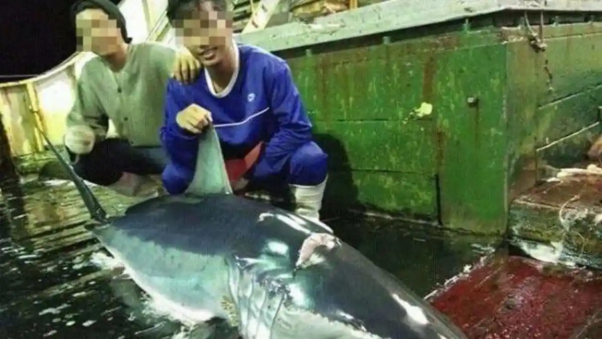 Nasib 45 ABK Indonesia di Kapal Ikan Asing, Ngaku Belum Dibayar Gaji sejak 2017, Total Rp 2,9 Miliar