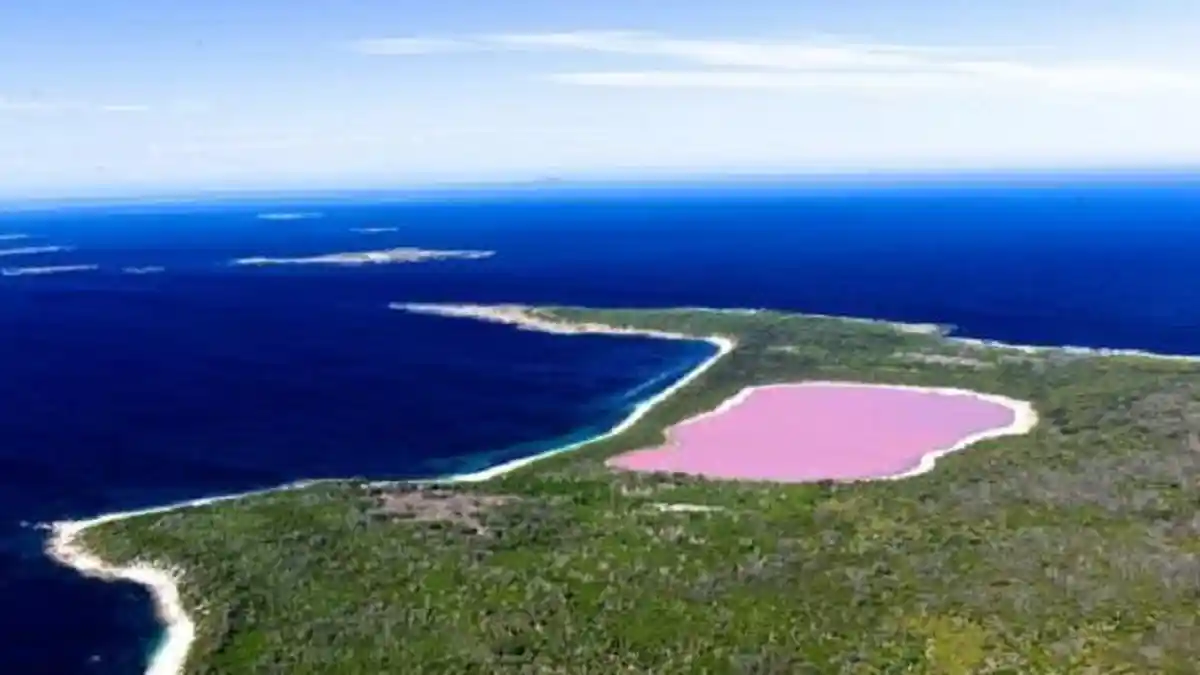 Lake Hillier, Danau Unik di Australia, Airnya Berwarna Merah Muda