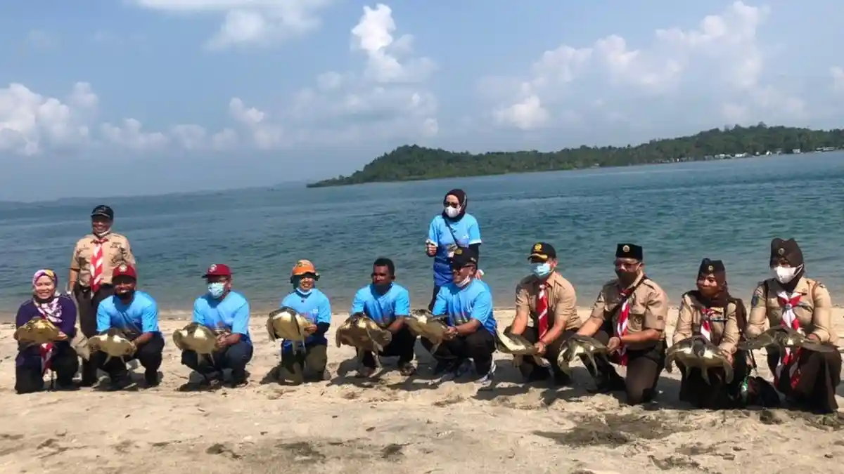Pulau Anak Karas Batam Dapat Bantuan Infrastruktur Penyelamatan Penyu 