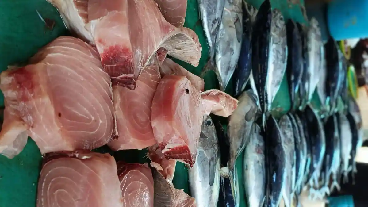 Awal Tahun 2026, Harga Ikan di Pasar Bula Mahal, 4 Ekor Rp. 50 Ribu