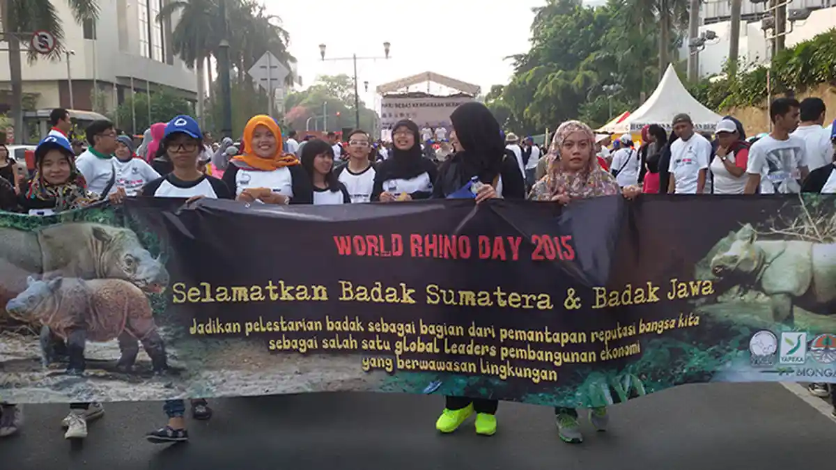Habitat Badak Jawa di Ujung Kulon Tersisa 60 Ekor