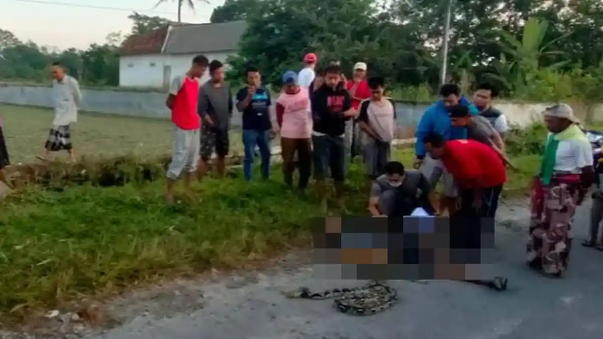 Blitar Geger, Warga Nglegok Ditemukan Tewas dengan Bekas Dililit dan Digigit Ular Sanca Kembang