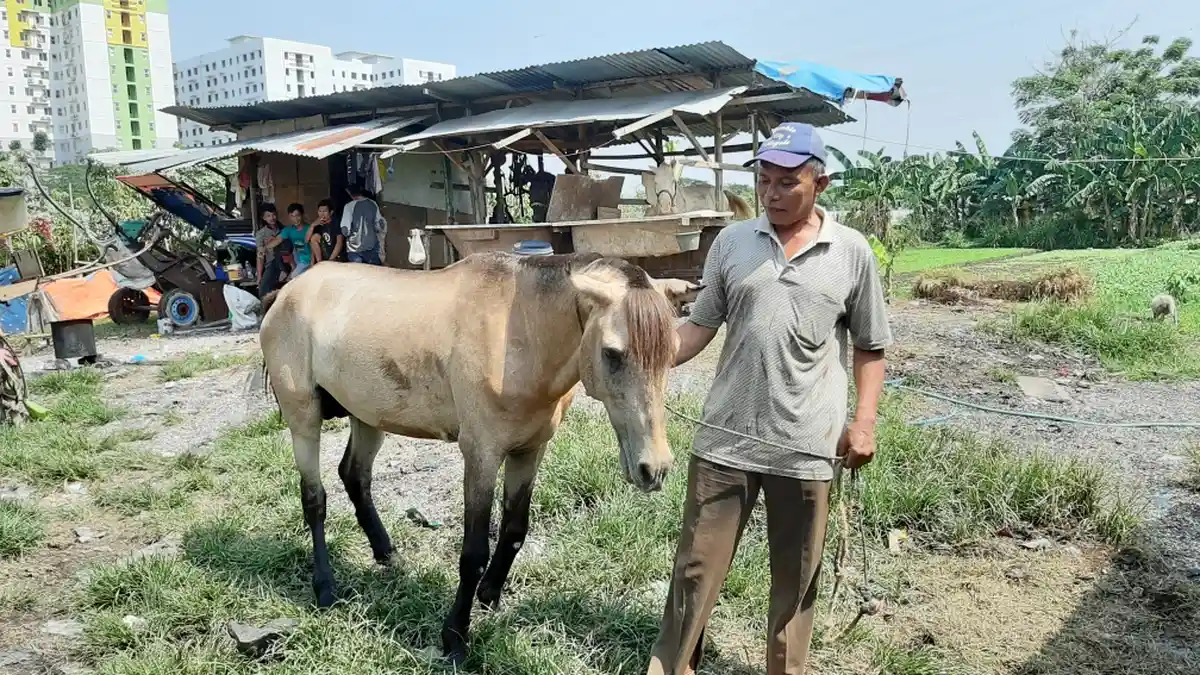 Cerita Yahya Naik Haji Hasil Kerja Keras Jadi Kusir Delman Selama ...