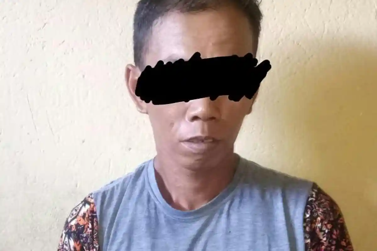 4 Fakta Kakak Perkosa Adik Kandung di Luwu Ternyata Sudah Direncanakan, Begini Nasib Pelaku Sekarang