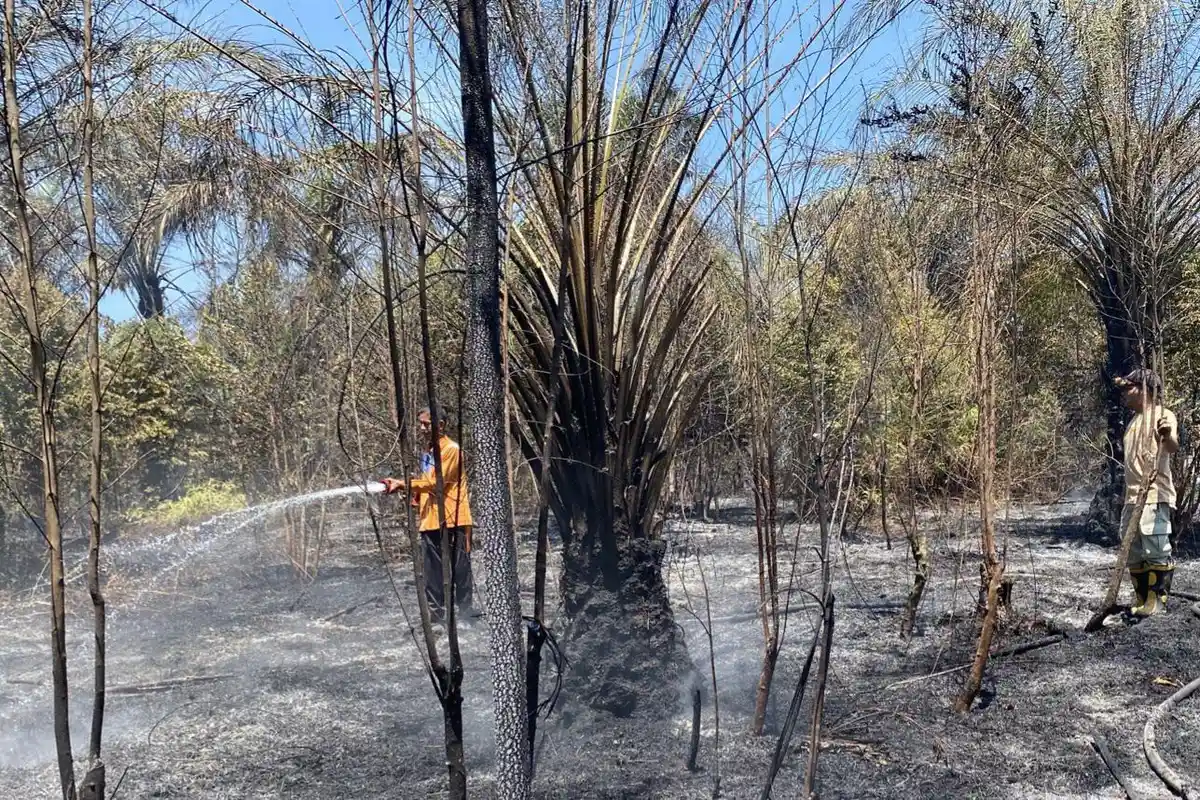 Cuaca Panas Masih Melanda, Warga Pekanbaru Jangan Bakar Sampah di Lahan