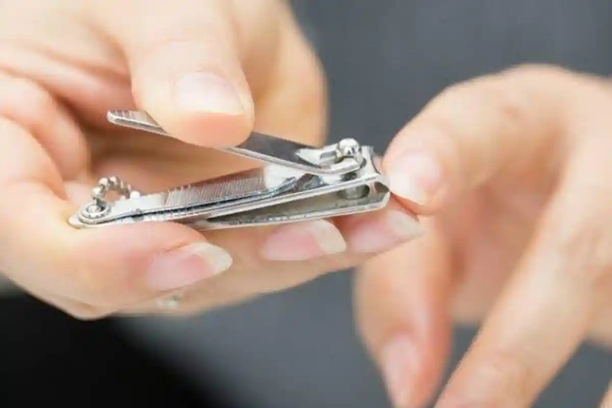 Jangan Terlewat! Ini Batas Akhir Memotong Kuku dan Rambut Sebelum Berkurban Idul Adha 2025/1446 H