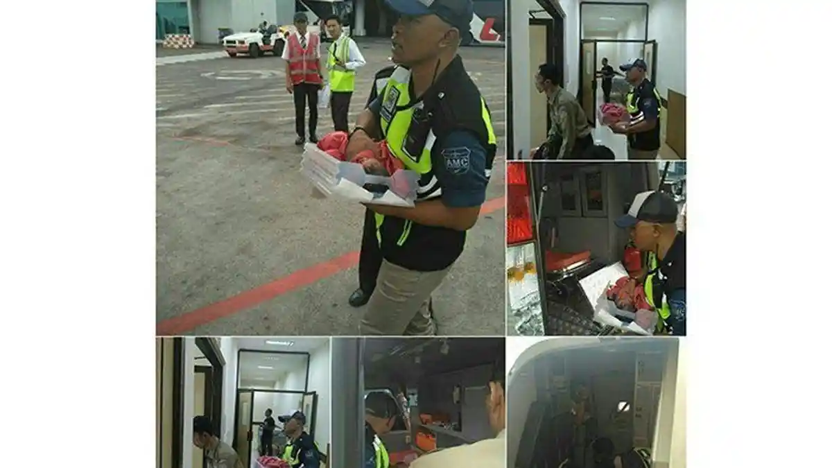 Kisah Persalinan Penumpang di Pesawat Tujuan Denpasar yang Berlangsung 40 Menit di Atas Udara
