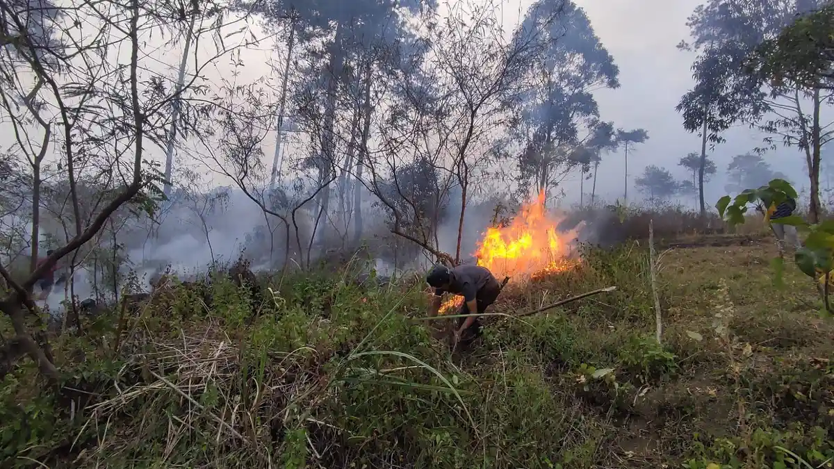 Update Terkini Kondisi Kebakaran di Gunung Guntur Garut, Api Berhasil Dipadamkan Petugas Gabungan