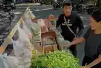 Anomali-Harga-Pangan-di-Kota-Malang-Cabai-Turun-Rp-65-Ribu-per-Kg-Bawang-Merah-Tembus-Rp-60-Ribu.jpg