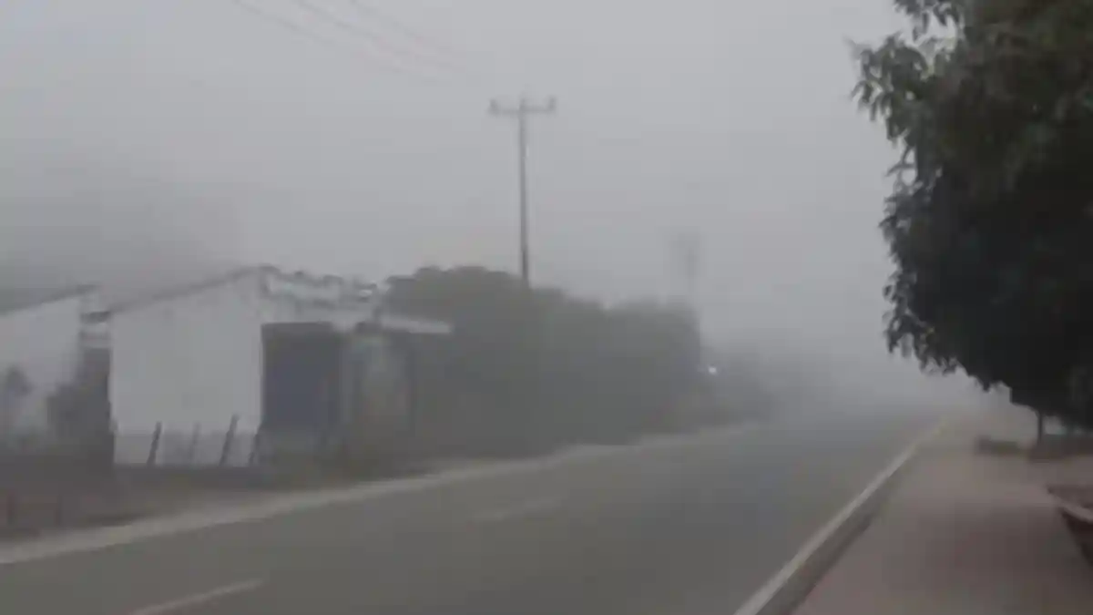VIRAL Ketebalan Kabut Asap Kian Meningkat di Pesisir Selatan, Jarak Pandang Mulai Terbatas