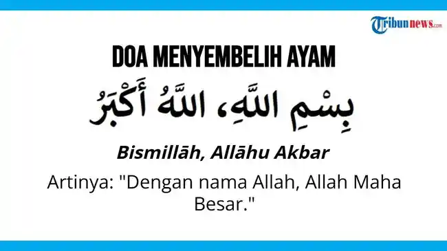 Doa Menyembelih Ayam untuk Menu Lebaran Idul Fitri, Wajib Sebut Nama Allah