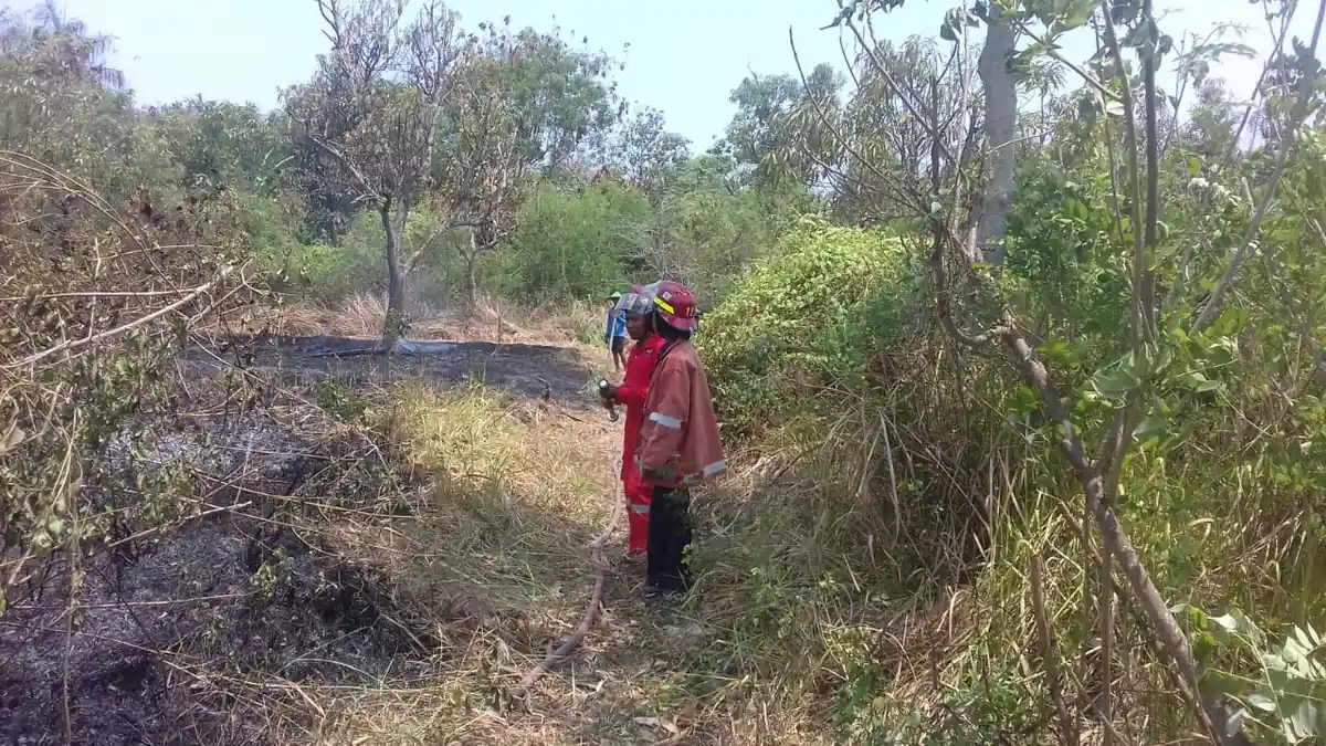 Hampir Setiap Hari Kebakaran Lahan Terjadi di Indramayu, Kali Ini Diduga Disebabkan Puntung Rokok