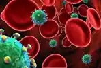 Ini Fakta Dibalik Temuan 28 Kasus HIV Baru di Mempawah Sepanjang 2026, Mayoritas Kelompok Gay