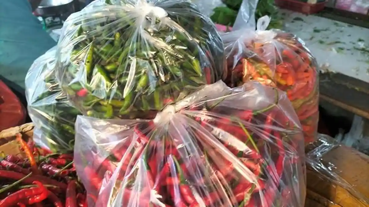 Harga Cabai, Bawang dan Ayam di Jambi Selasa (13/9/2022) - Penjual Cabai di Bungo Banting Harga