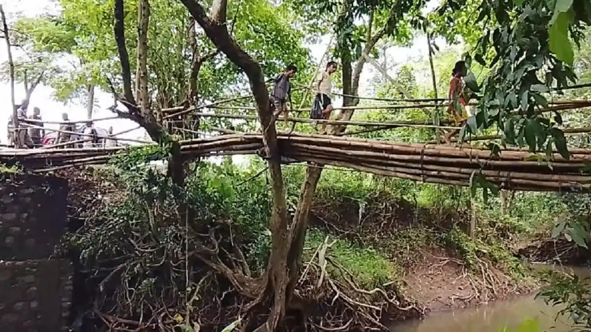 Luput dari Perhatian Pemerintah, Jembatan Bambu Mbarata di Manggarai Barat Ancam Nyawa Warga