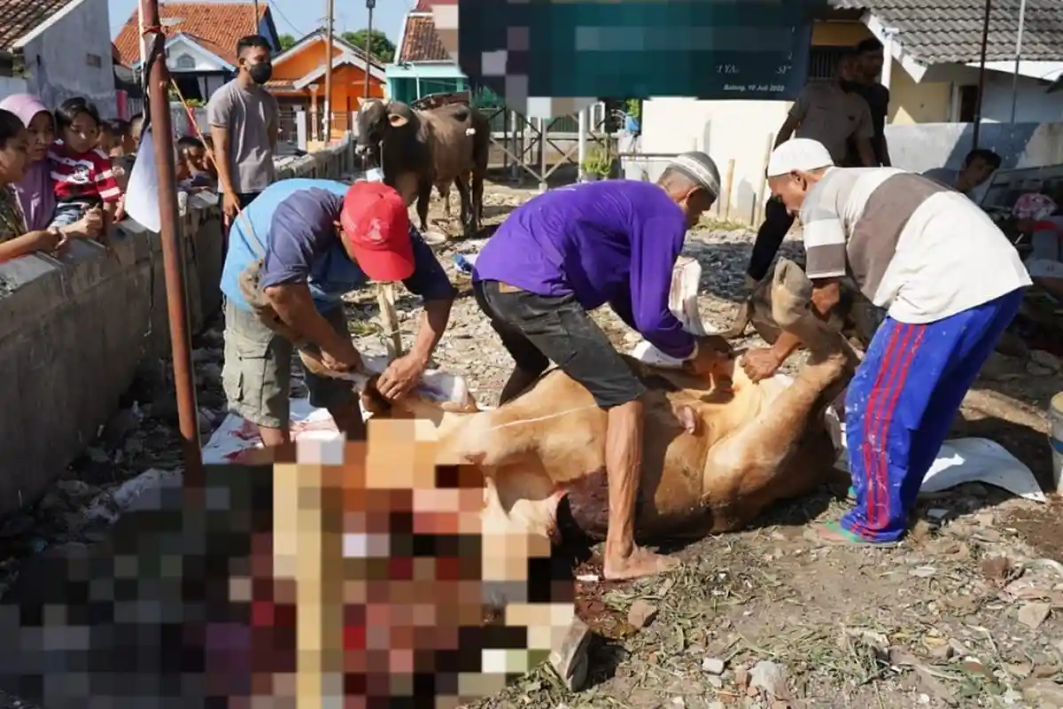 Pemkab Batang Dorong Juleha Punya Sertifikasi