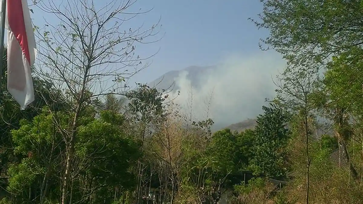 4 Provinsi Sudah Tetapkan Status Siaga Darurat Kebakaran Hutan dan Lahan