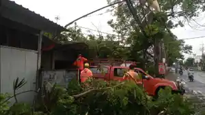 angin-kencang-di-ketanon-tulungagung.jpg