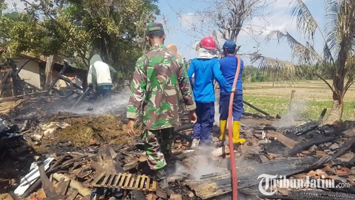 Delapan Unit Kandang Sapi Terbakar di Kabupaten Sampang, Sejumlah Sapi Juga Ikut Terpanggang