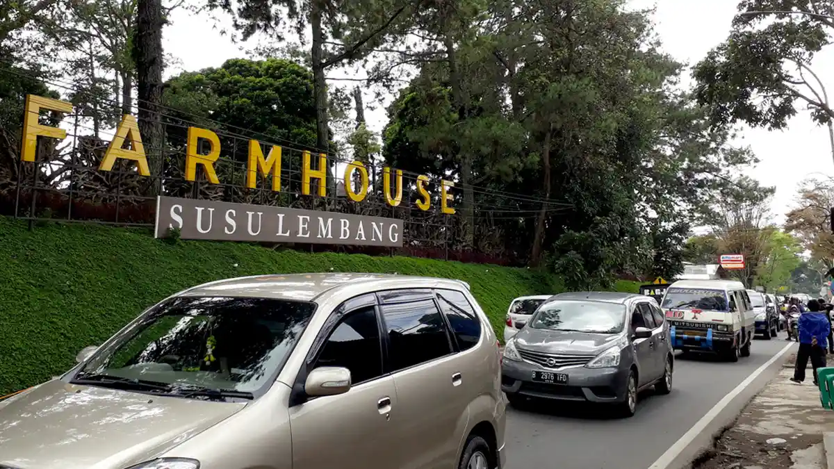 Hasilkan Susu 150 Ton per Hari, KPSBU Lembang Hanya Olah Susu 20 Persen