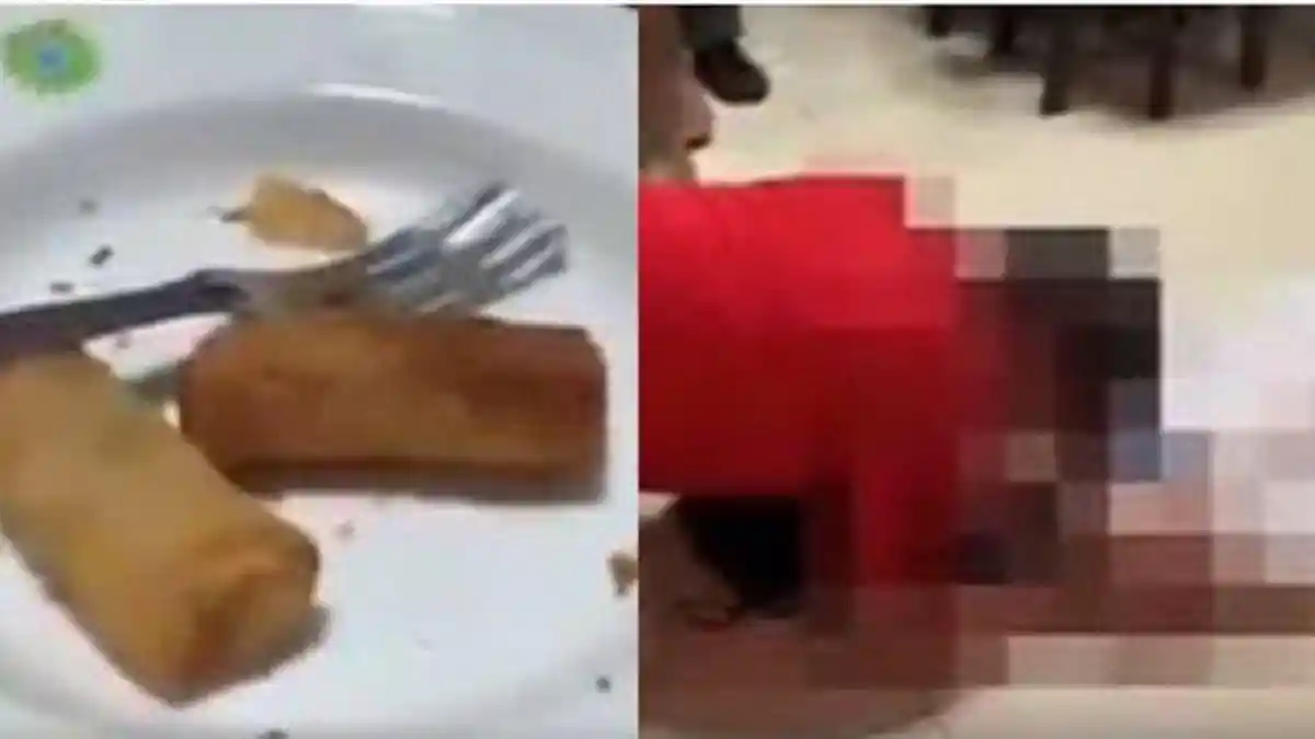 Sudah Disimpan 3 Hari di Kulkas, Wanita Ini Tewas Setelah Makan Lumpia yang Dipanaskan