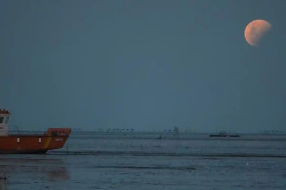 Kisah Dibalik Peristiwa Gerhana pada Masa Rasulullah, Bersamaan dengan Wafatnya Putra Rasulullah SAW