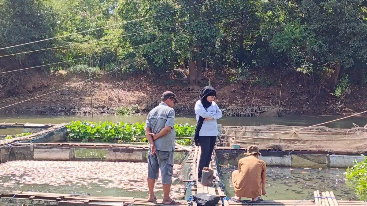 Ikan Mati Massal di Mali-Mali dan Sungai Arfat Dipicu Rendahnya Oksigen, Ini Penjelasan DKPP Banjar - Banjarmasinpost.co.id