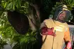 Damkar Banda Aceh Evakuasi Sarang Tawon di Gampong Keuramat, Kondisi Darurat Hubungi Nomor Ini