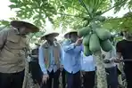 Program MBG Libatkan Petani Lokal, BGN Dialog Bersama Gapoktan di Rasau Jaya