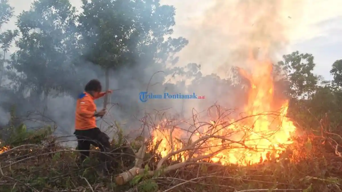 FOTO: Personel BPBD Kota Pontianak Padamkan Api - api-membara-dipadamkan.jpg
