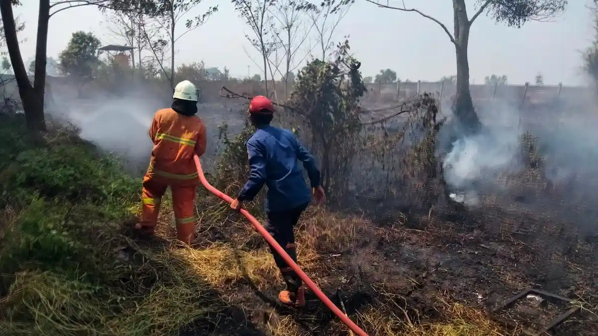 Api Berkobar di Lahan Dekat SMKN 1 Mojoanyar, Mojokerto, Semua Pelajar Panik