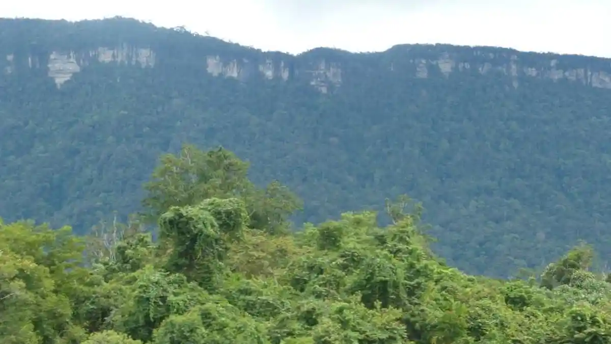 Batu Ayau, Kisah Kampung di Mahakam Ulu yang Berubah jadi Batu