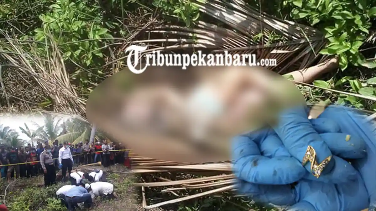 Kasus Penemuan Mayat Wanita Tanpa Kepala di Dumai Riau, Polisi Sudah Periksa Sejumlah Saksi