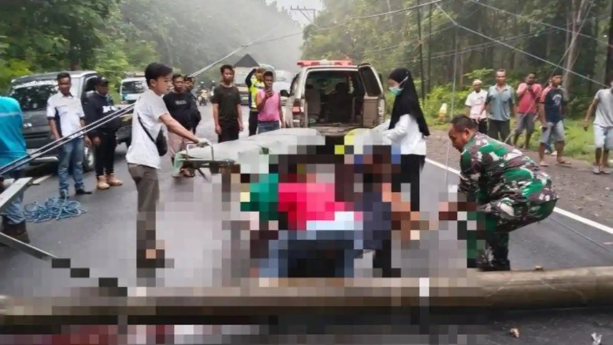 Kronologi Kecelakaan Maut, Lansia Tewas usai Tertimpa Tiang Listrik yang Roboh